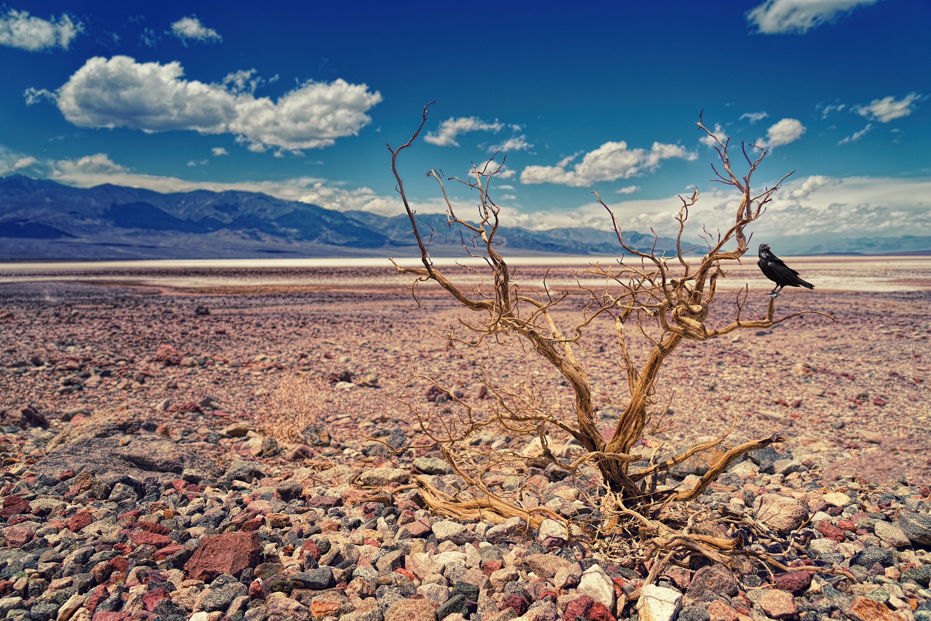 Death Valley The Hottest Place On Earth Reaching Net Zero